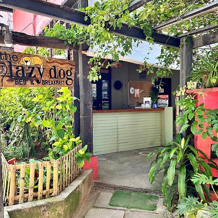 Lazy Dog Bed & Breakfast Balabag  Exterior photo