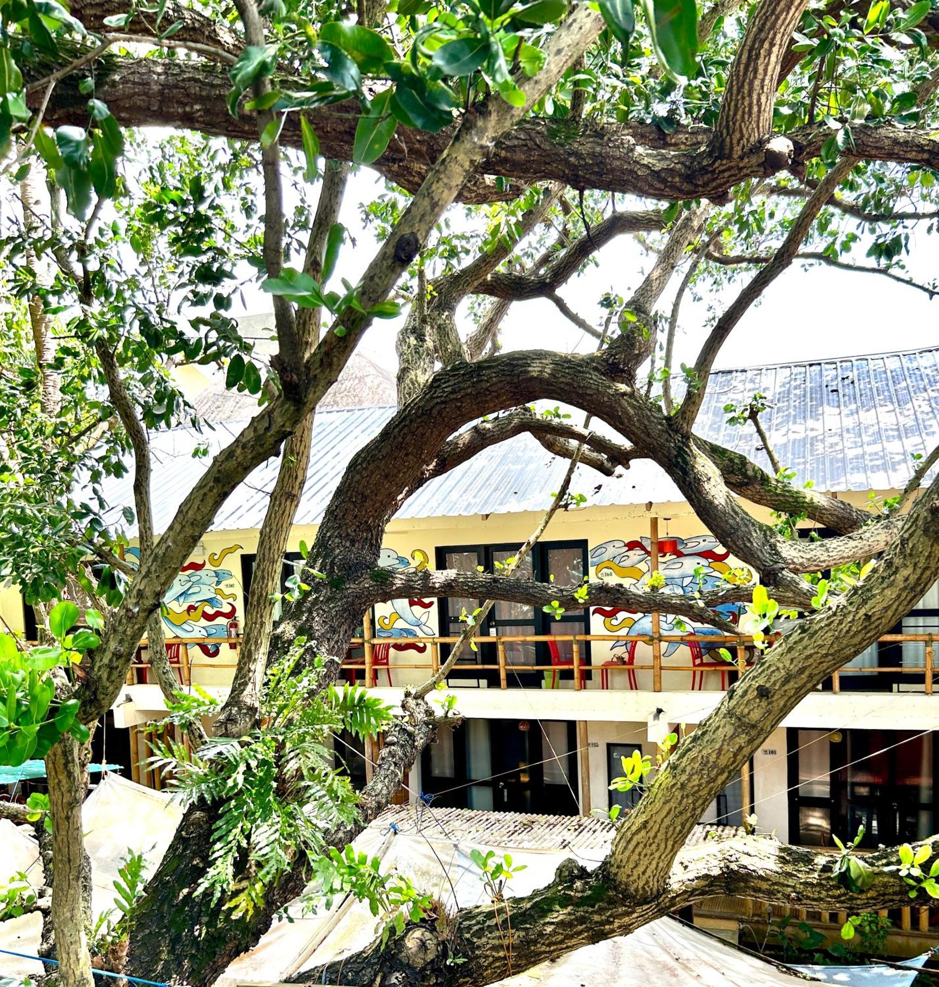 Lazy Dog Bed & Breakfast Balabag  Exterior photo