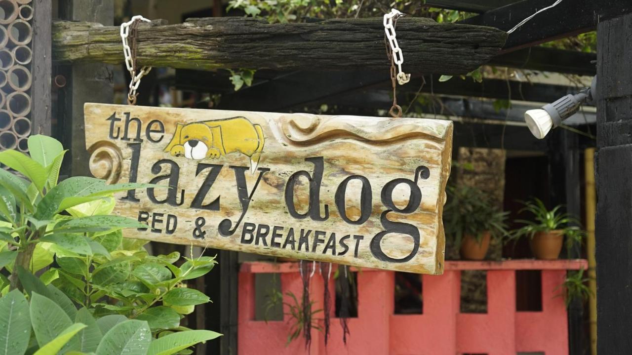 Lazy Dog Bed & Breakfast Balabag  Exterior photo
